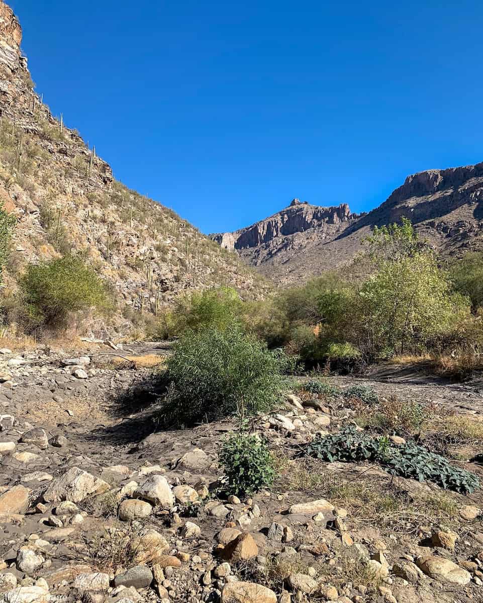 Sabino Canyon Recreation Area, Tucson Sabino Canyon Recreation Area, Tucson