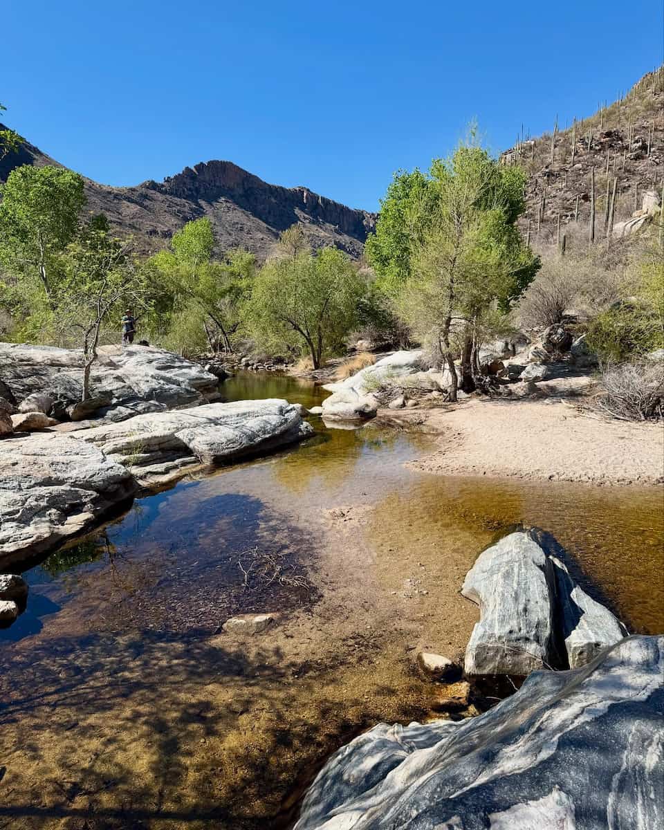 Sabino Canyon, Tucson Sabino Canyon, Tucson