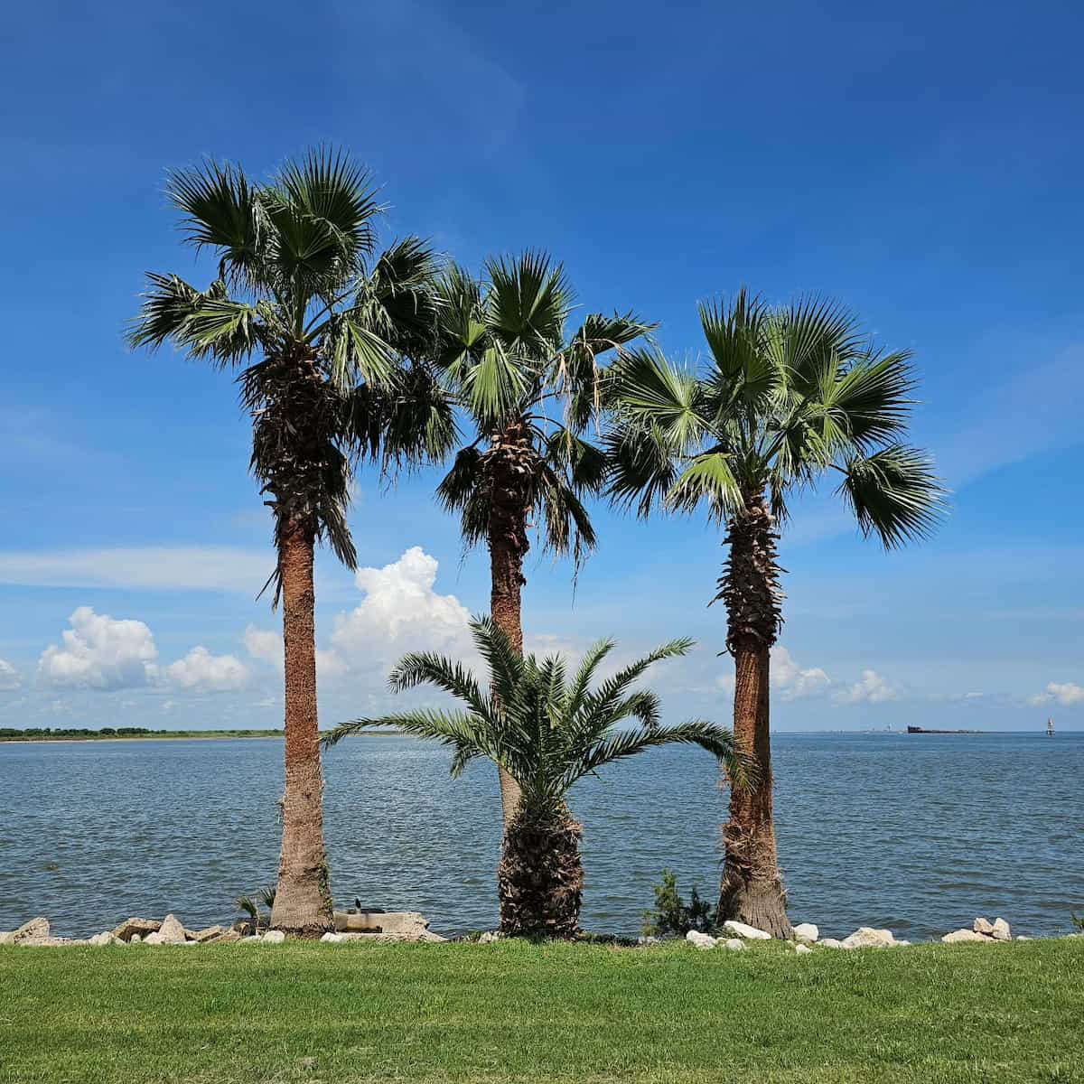 Seawolf Park, Galveston Seawolf Park, Galveston