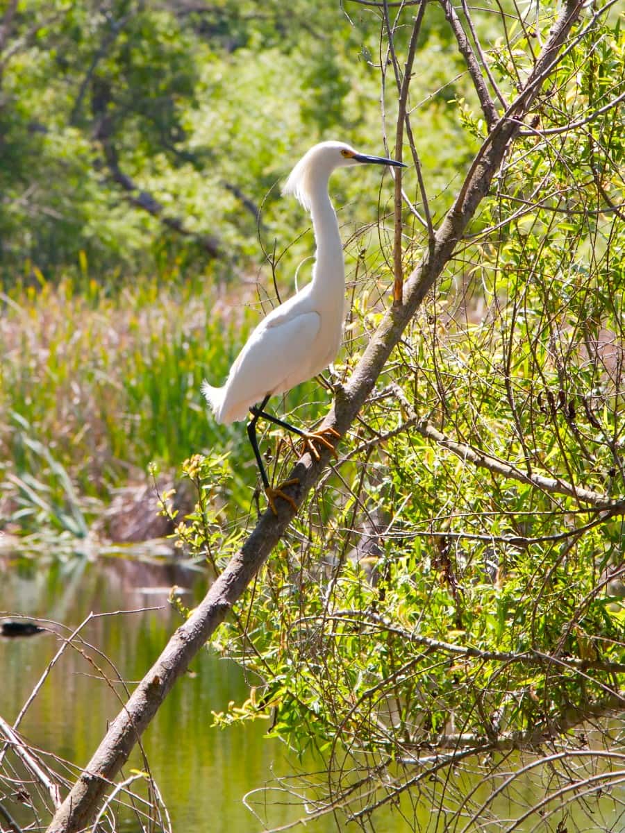 Shipley Nature Center, Orange County, California Shipley Nature Center, Orange County, California
