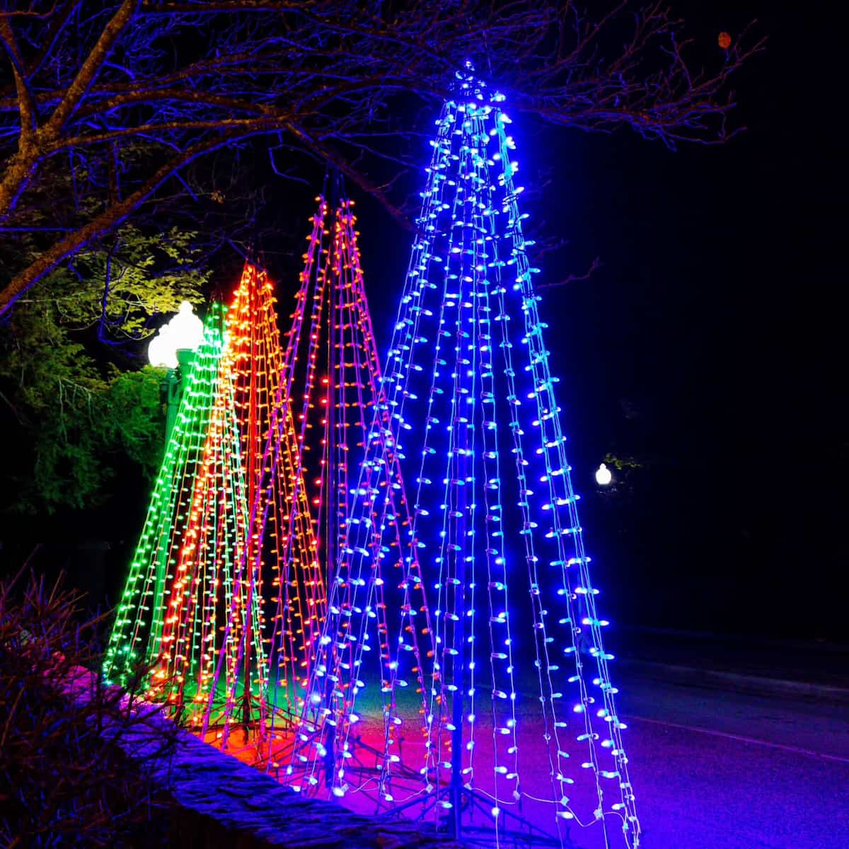 Southern Lights, Lexington Southern Lights, Lexington