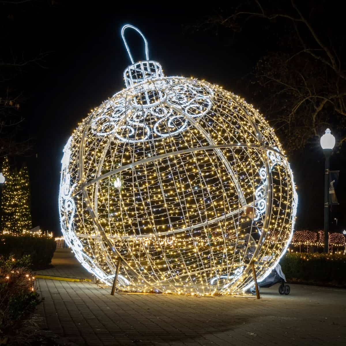 Southern Lights, Lexington Southern Lights, Lexington