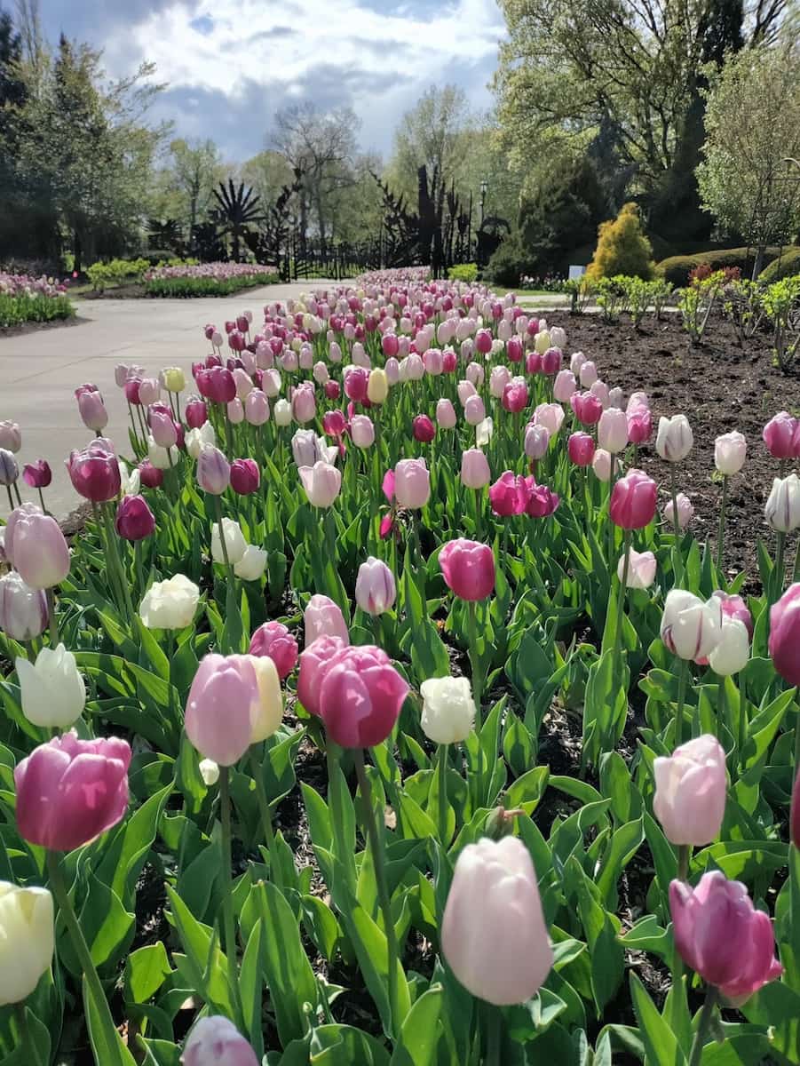 Spring in Cleveland Spring in Cleveland