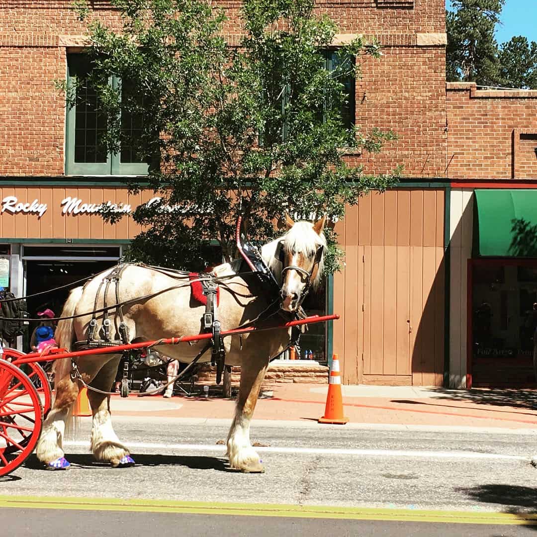 Summer Festivals and Events, Estes Park Summer Festivals and Events, Estes Park