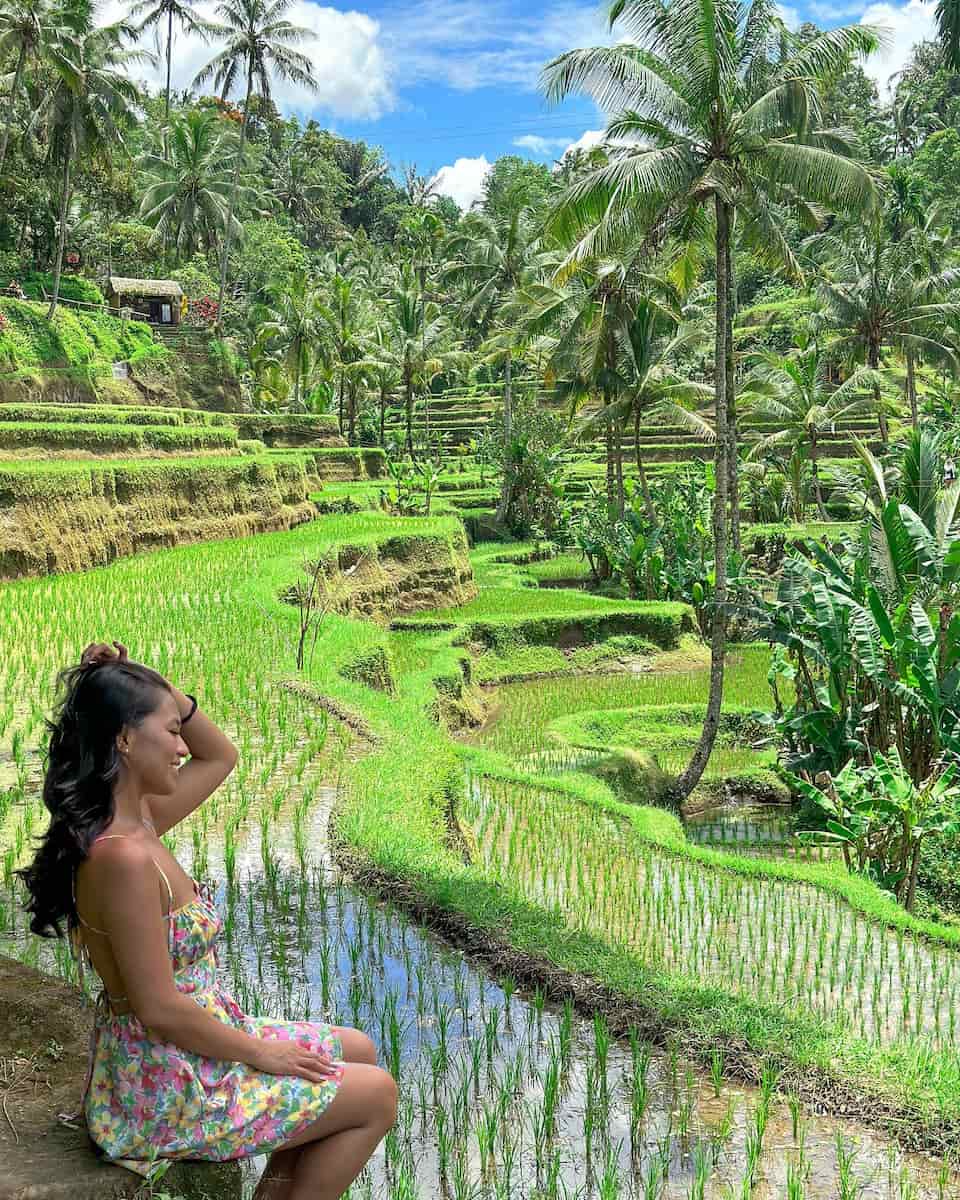 Tegallalang Rice Terraces, Bali Tegallalang Rice Terraces, Bali