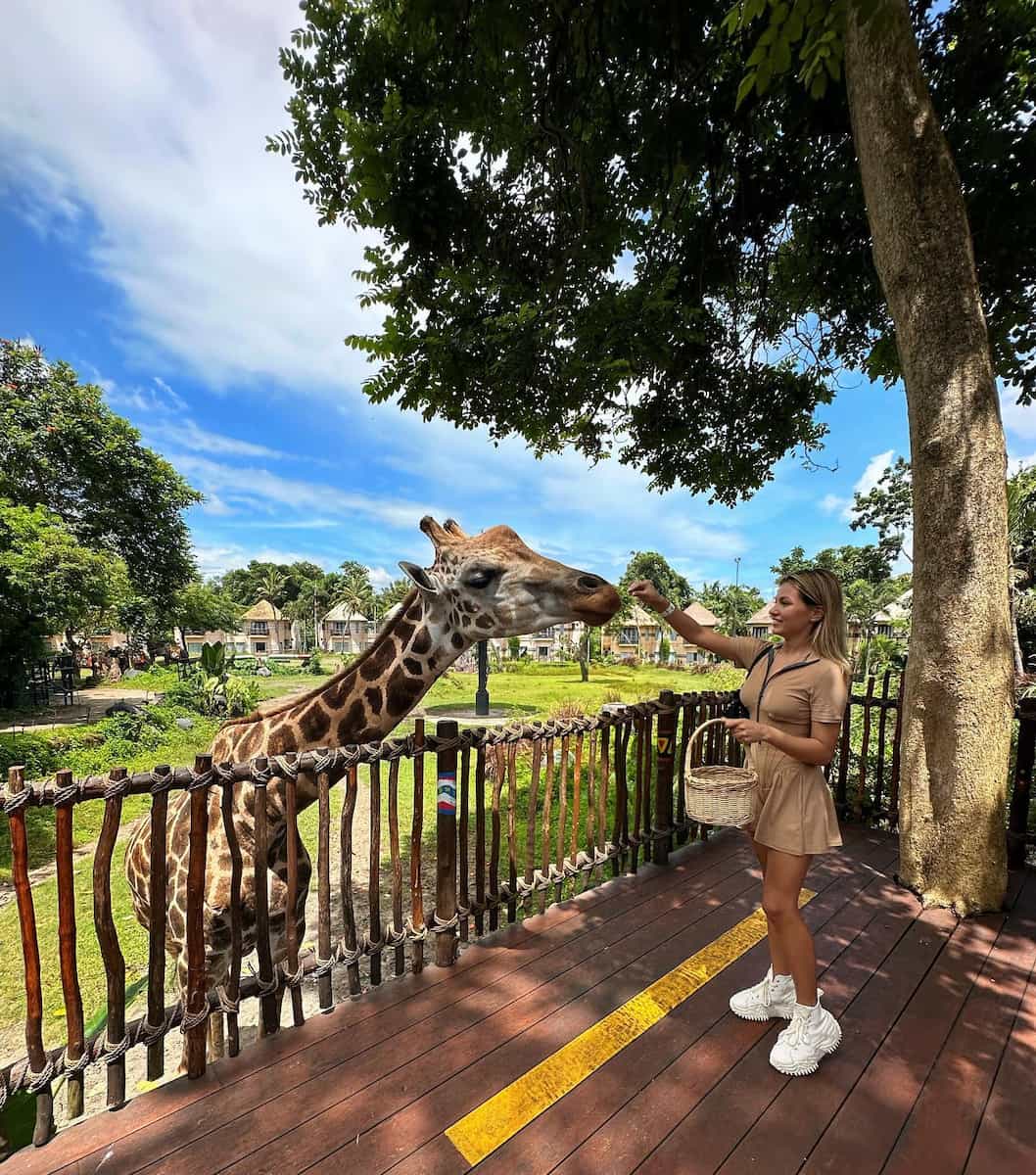 The Amazing Taman Safari Bali The Amazing Taman Safari Bali