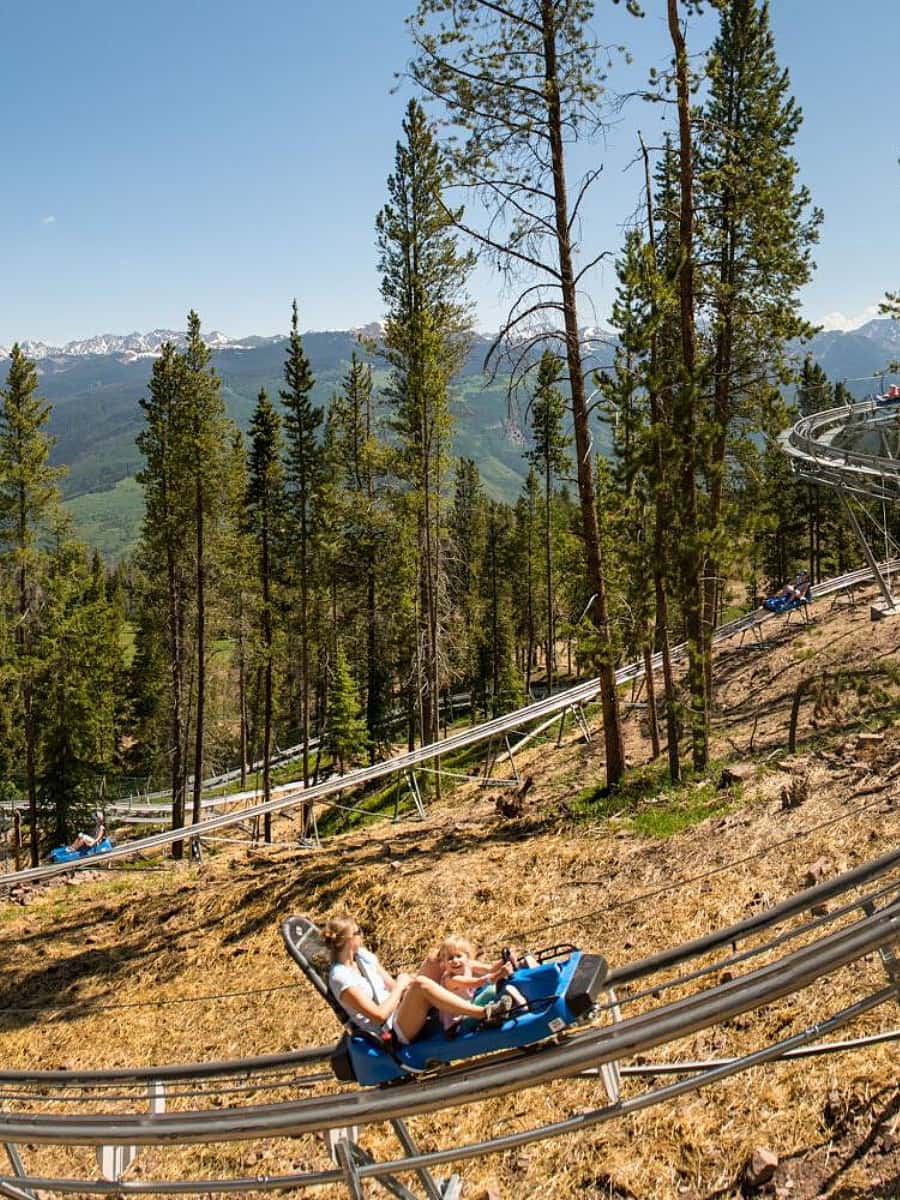 The Gold Runner Alpine Coaster, Breckenridge The Gold Runner Alpine Coaster, Breckenridge
