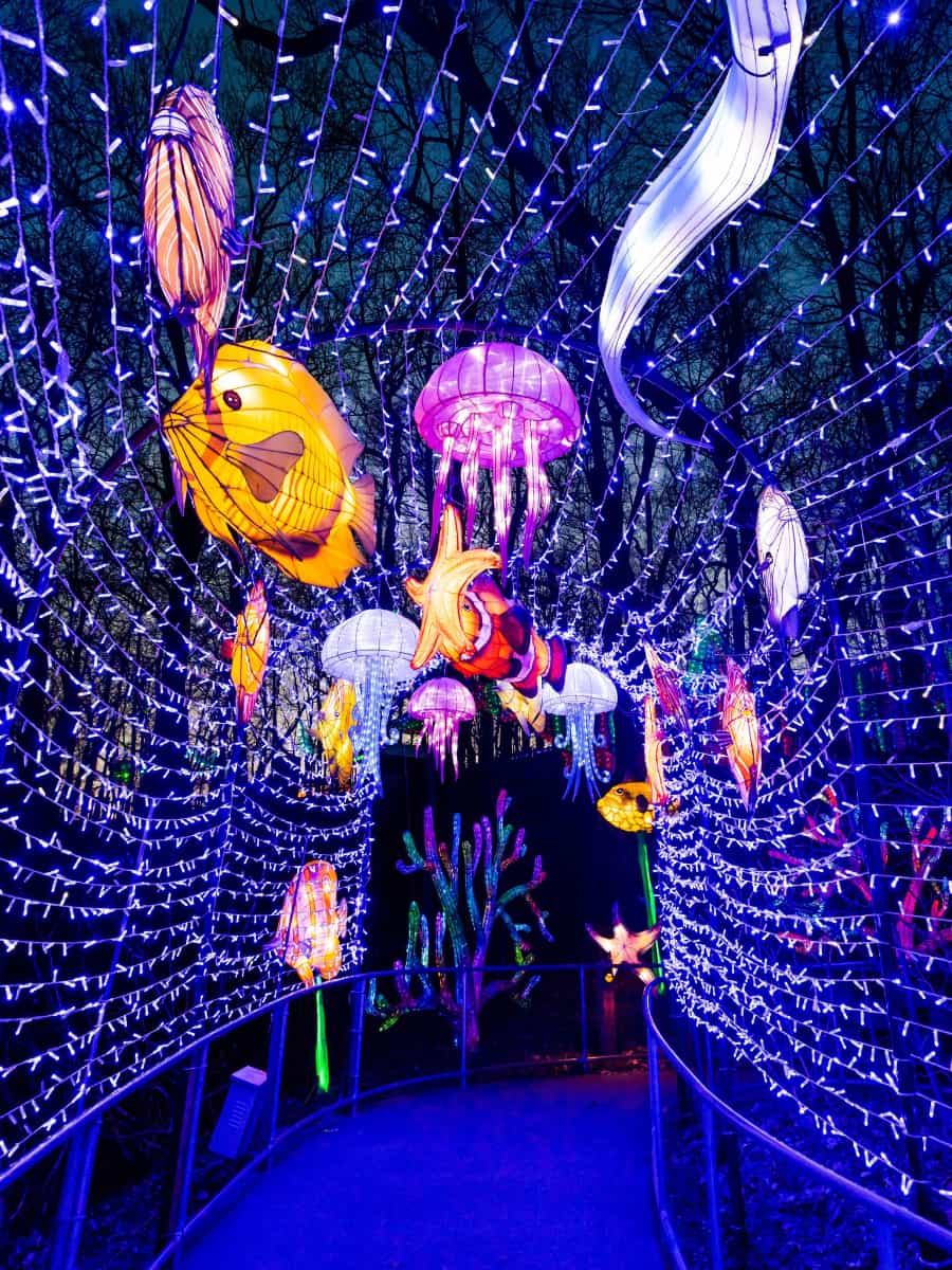 The Grand Rapids Lantern Festival, Grand Rapids The Grand Rapids Lantern Festival, Grand Rapids