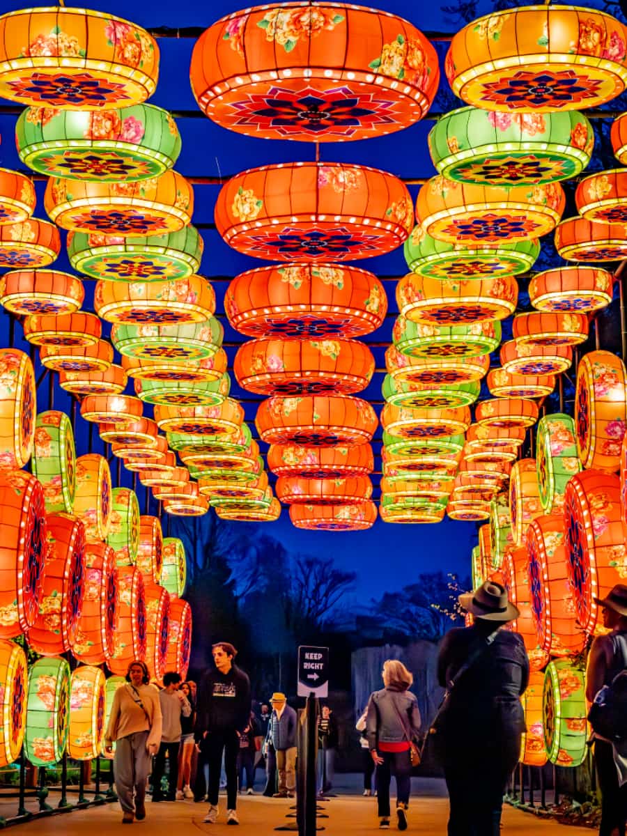 The Grand Rapids Lantern Festival, Grand Rapids The Grand Rapids Lantern Festival, Grand Rapids