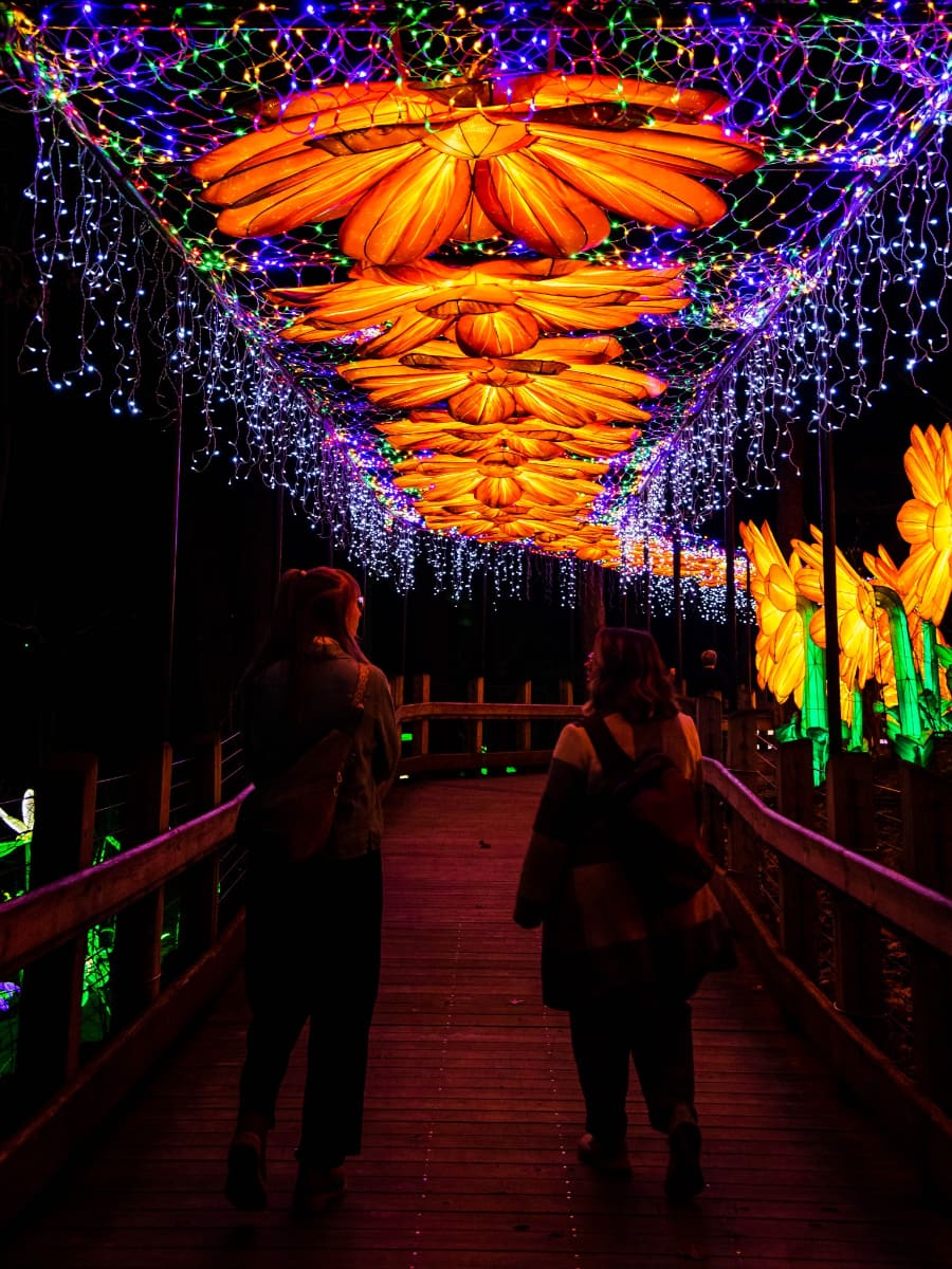 The Grand Rapids Lantern Festival, Grand Rapids The Grand Rapids Lantern Festival, Grand Rapids