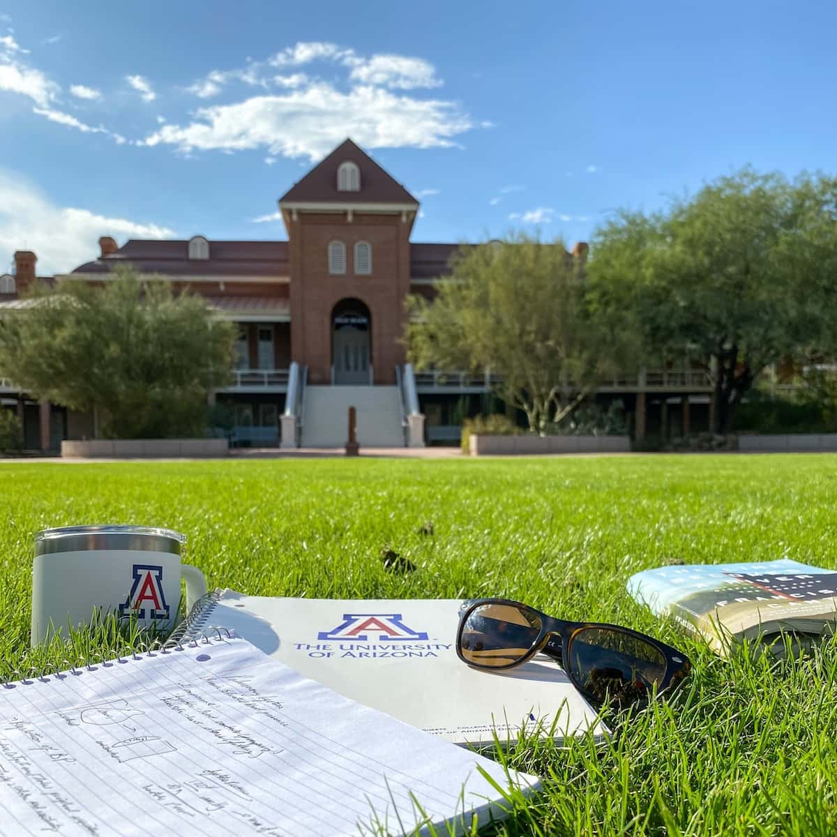 The University of Arizona The University of Arizona