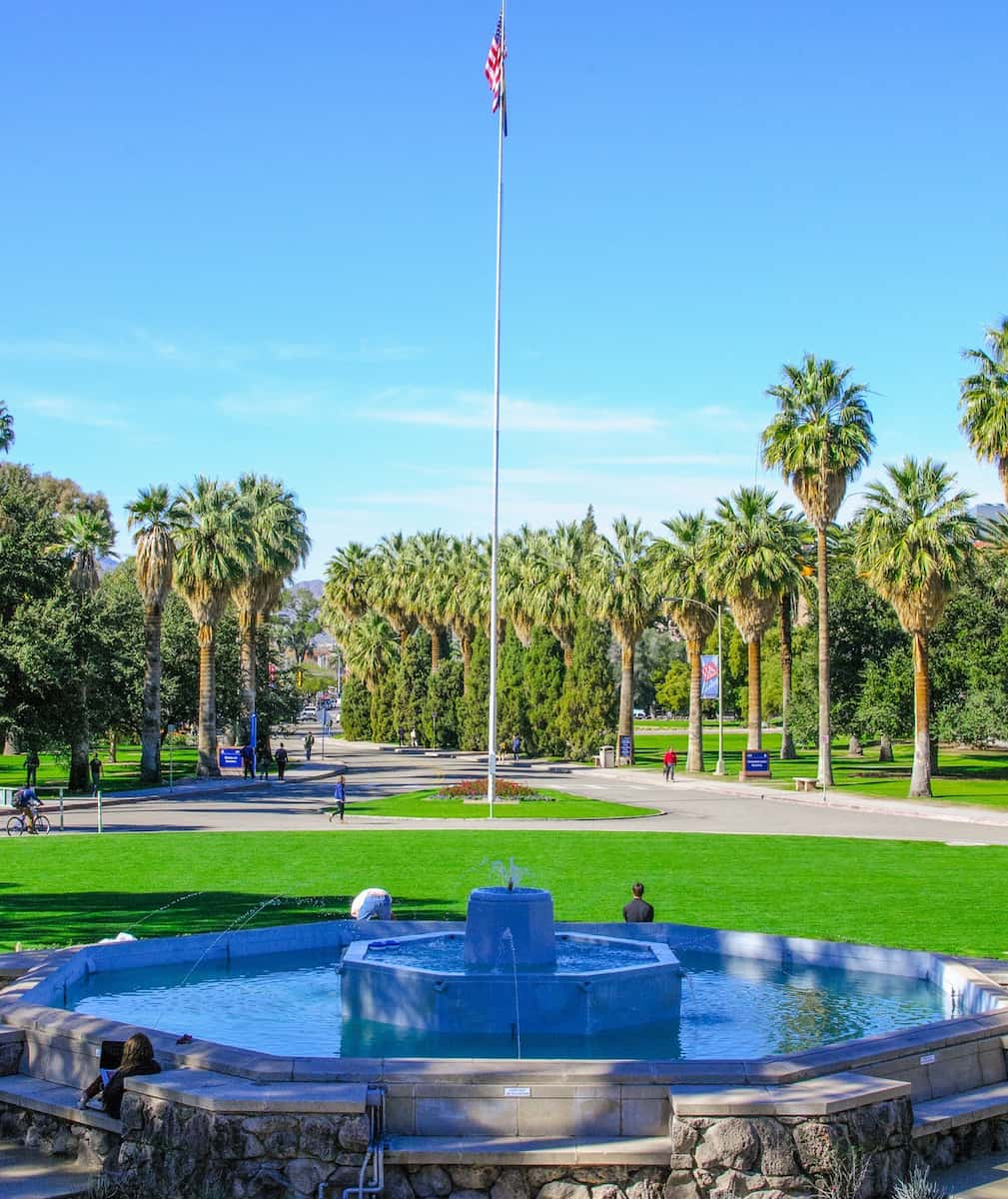The University of Arizona The University of Arizona