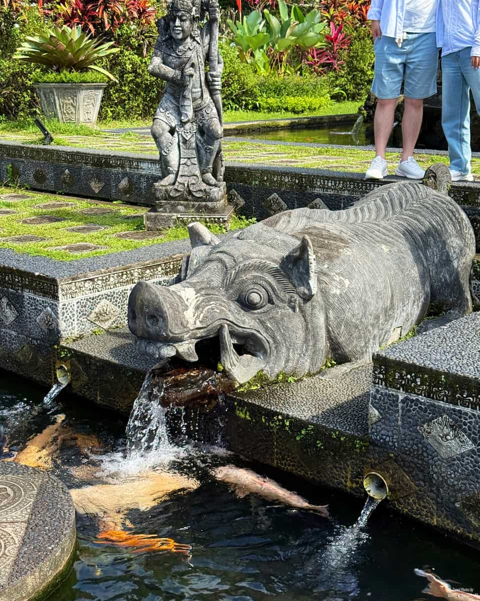 Tirta Gangga Water Palace, Bali Tirta Gangga Water Palace, Bali