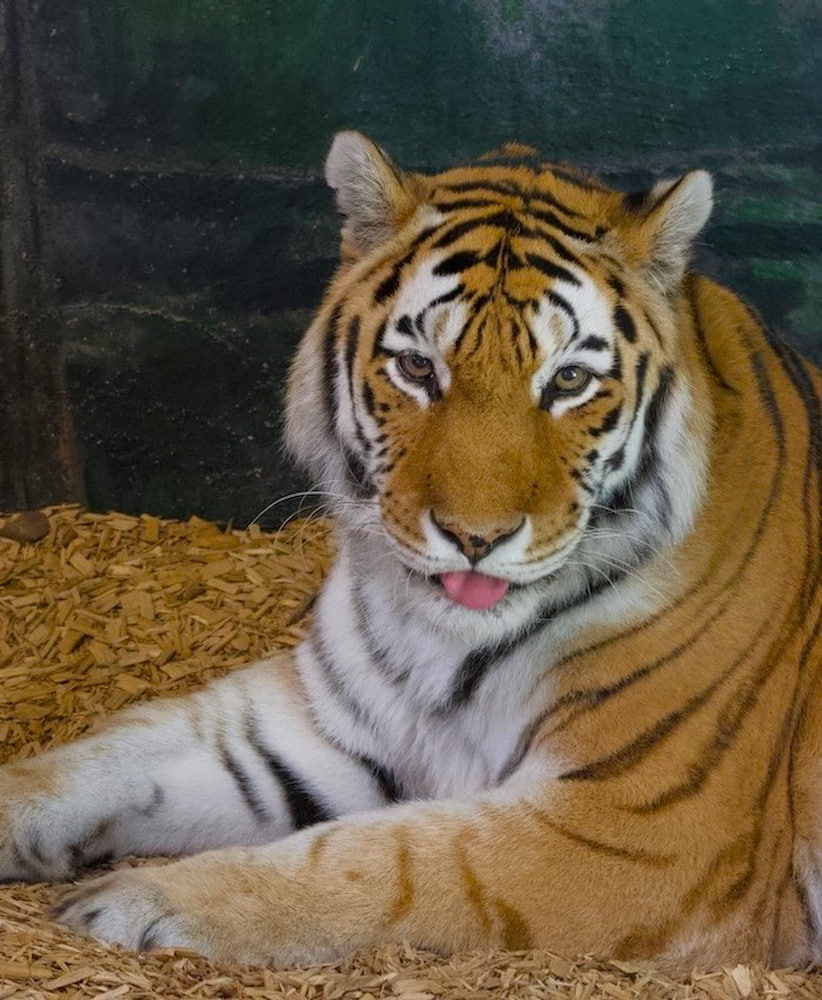 Toronto Zoo, Canada Toronto Zoo, Canada