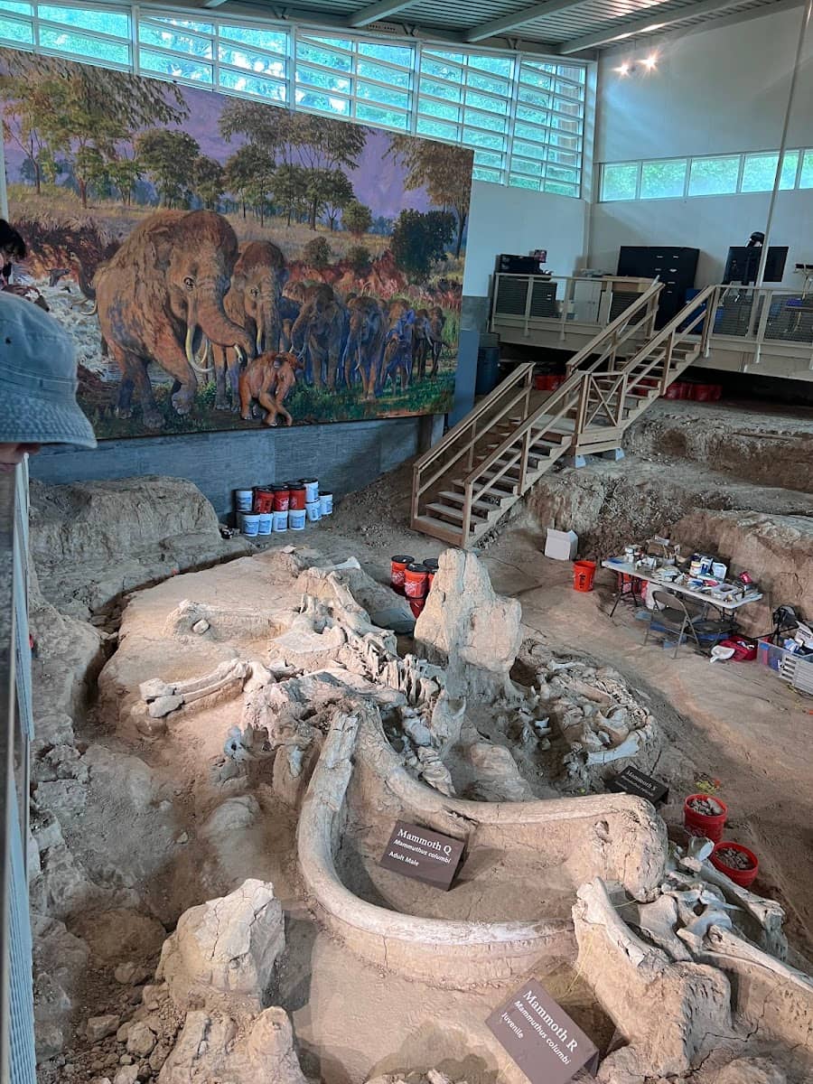 Waco Mammoth National Monument, Waco, TX Waco Mammoth National Monument, Waco, TX