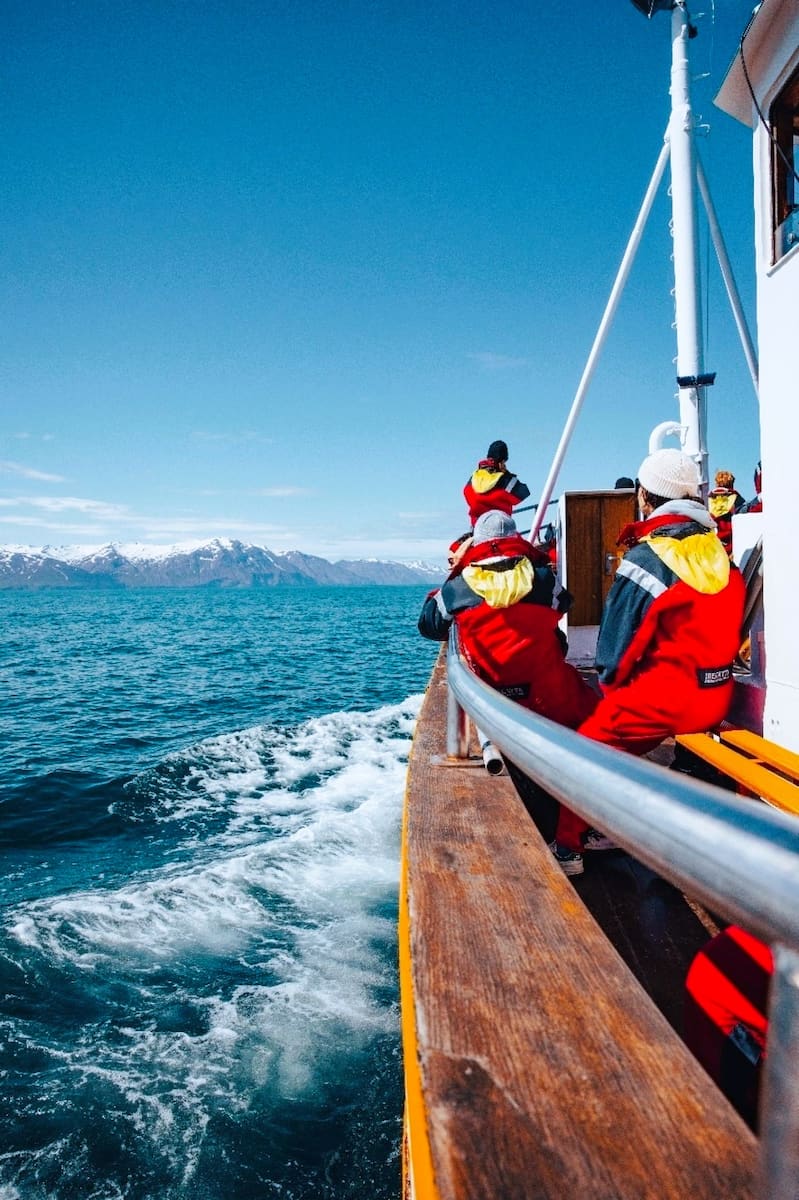 Whale Watching, Iceland Whale Watching, Iceland