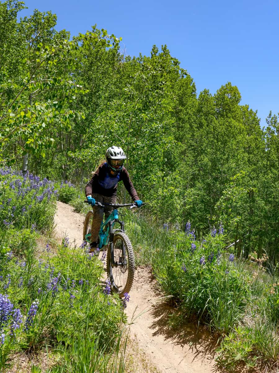 Wheeler Trail, Breckenridge Wheeler Trail, Breckenridge