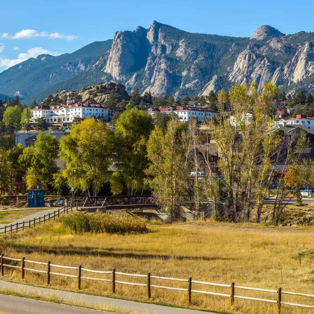 Wildlife Spotting, Estes Park Wildlife Spotting, Estes Park