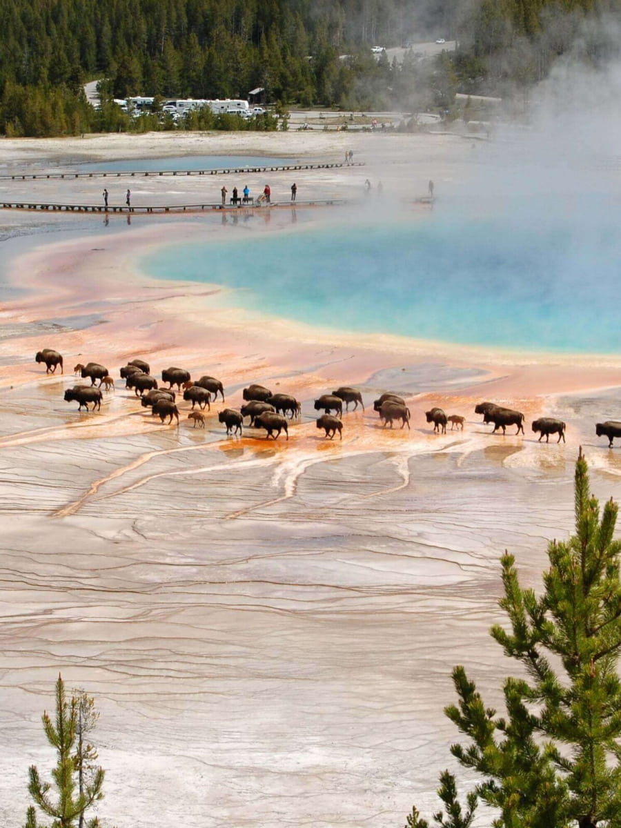 Yellowstone National Park, USA Yellowstone National Park, USA