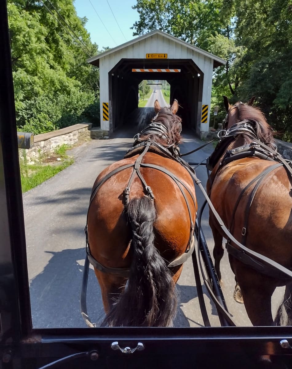AAA Buggy Rides, Lancaster AAA Buggy Rides, Lancaster