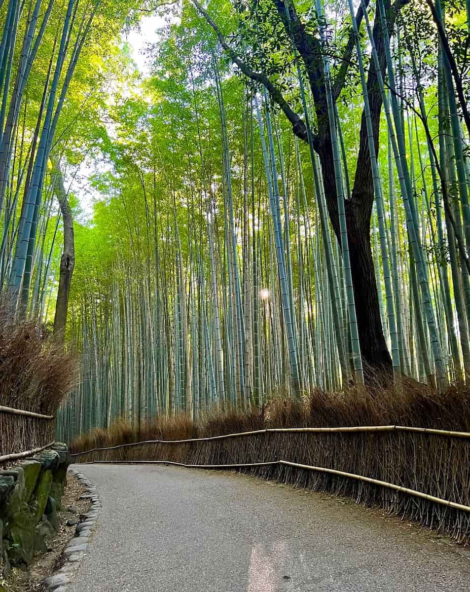Arashiyama Bamboo Forest, Japan Arashiyama Bamboo Forest, Japan