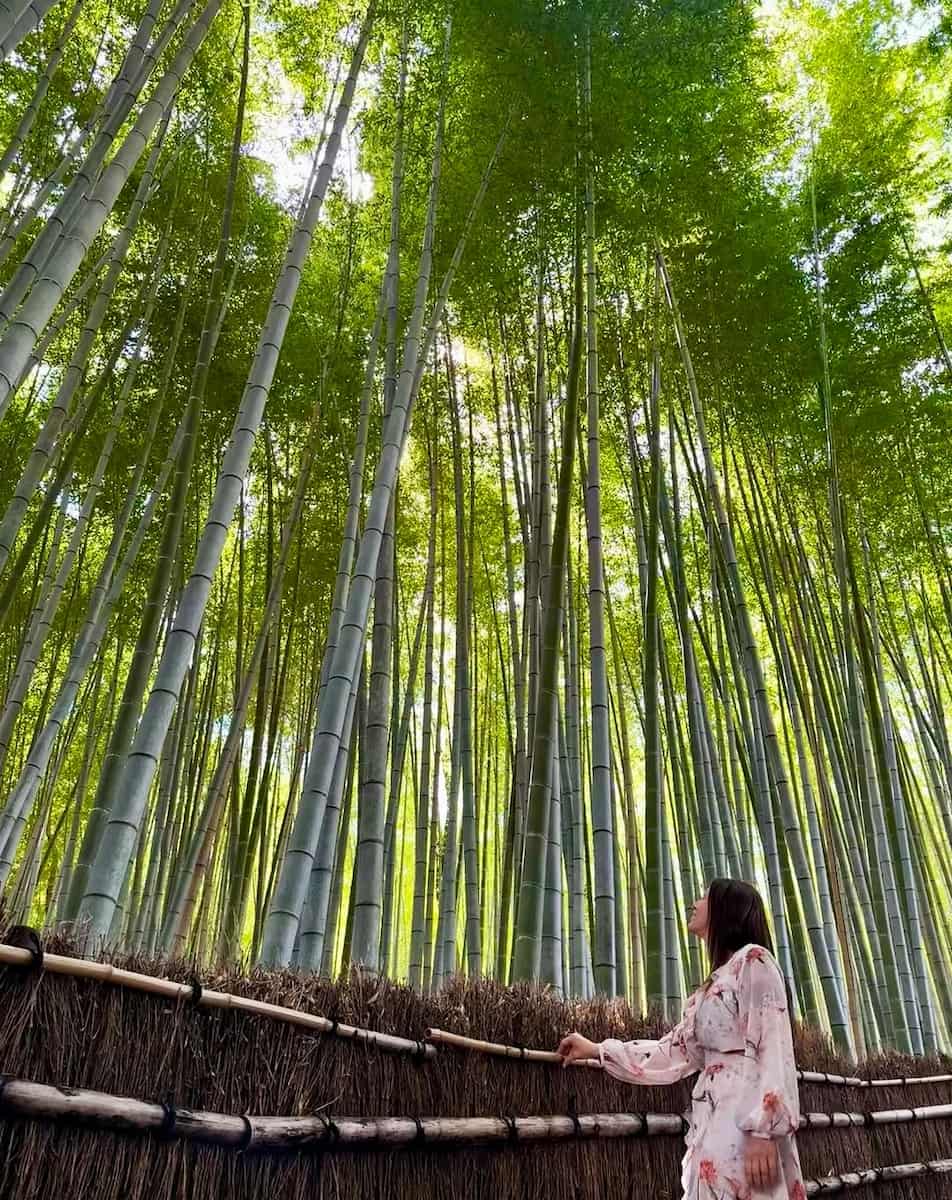 Arashiyama Bamboo Forest, Japan Arashiyama Bamboo Forest, Japan
