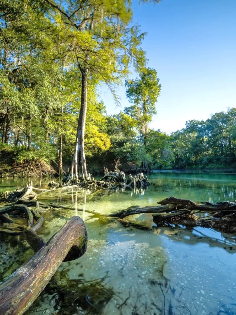 Blue Spring State Park, Florida Blue Spring State Park, Florida
