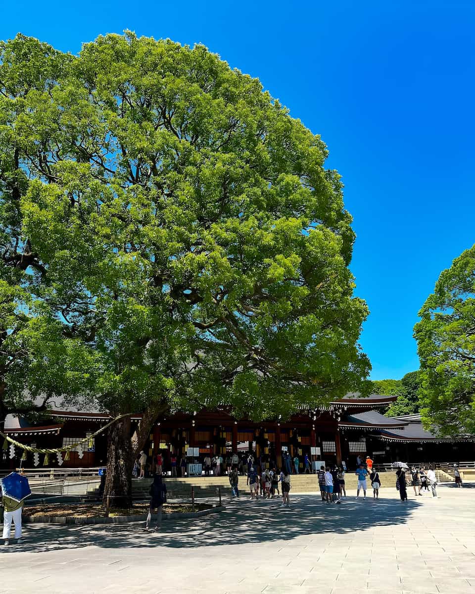 Meiji Jingu, Japan Meiji Jingu, Japan