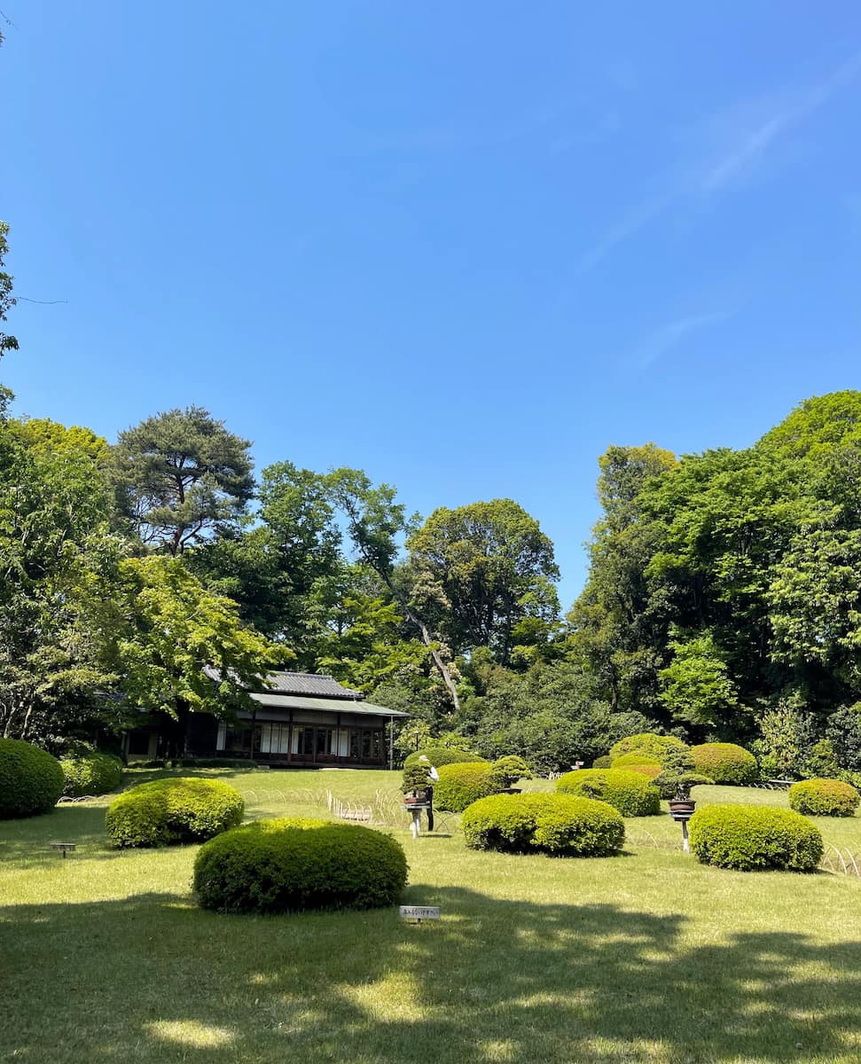 Meiji Shrine, Japan Meiji Shrine, Japan