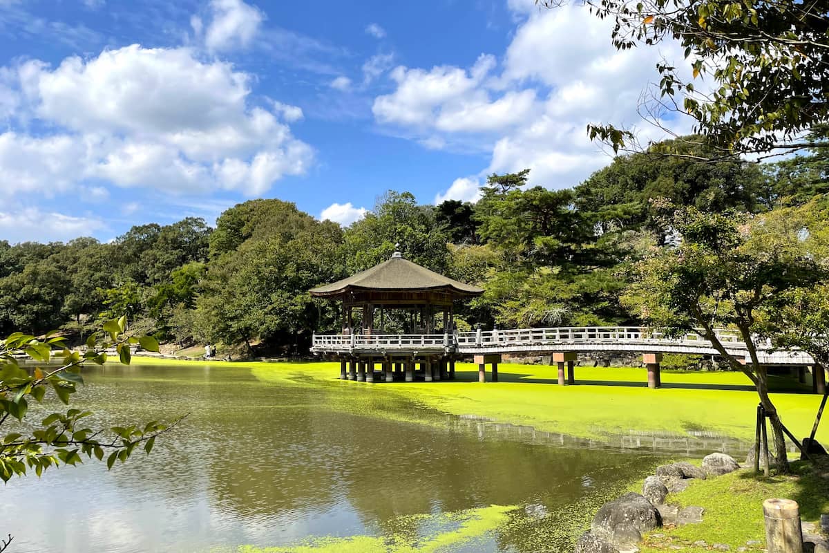 Nara Park, Japan Nara Park, Japan