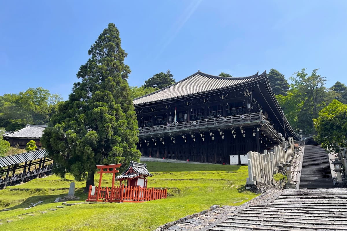 Nara Park, Japan Nara Park, Japan