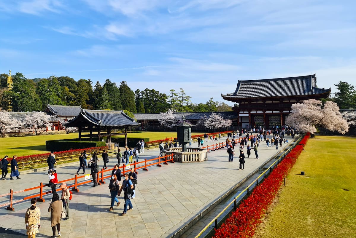 Nara Park, Japan Nara Park, Japan