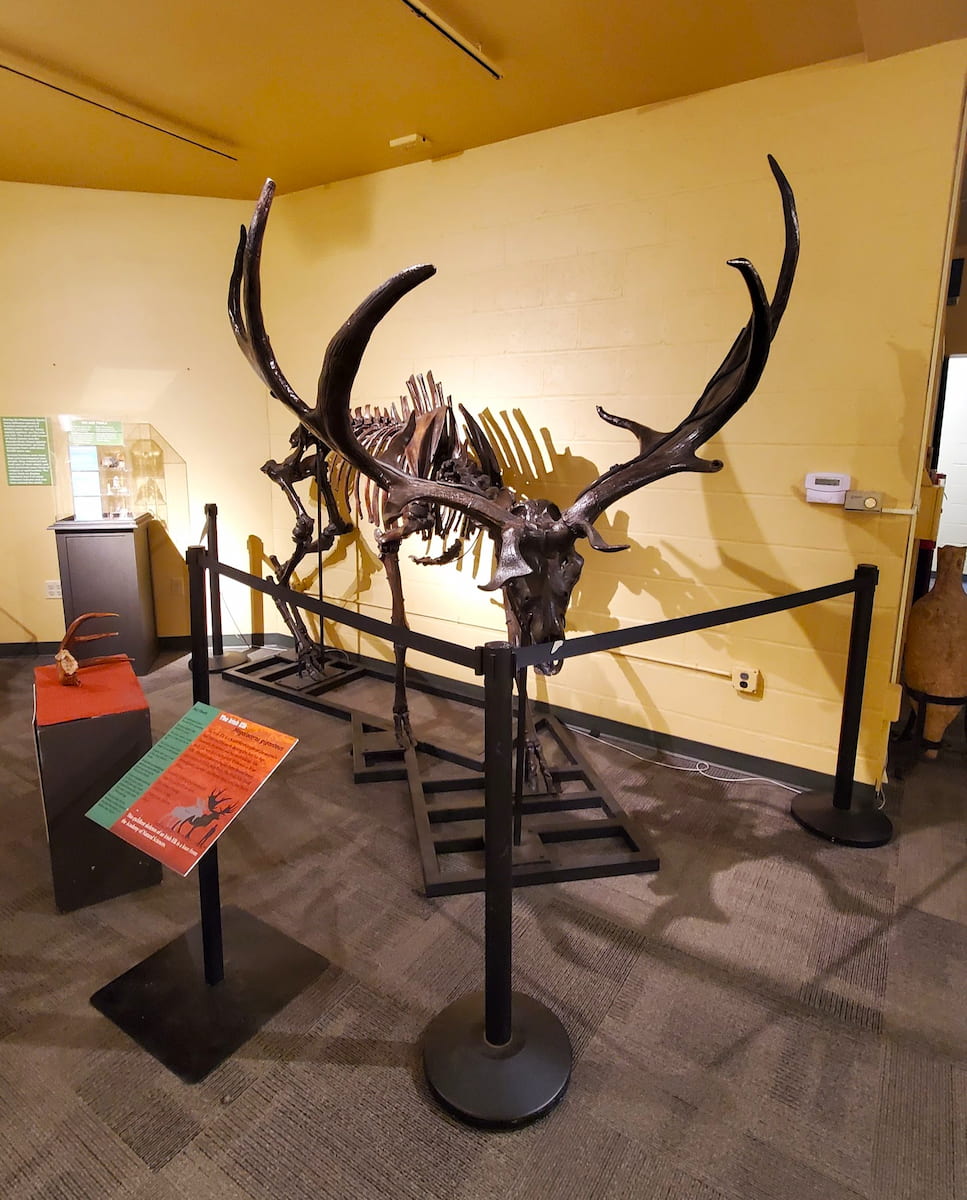 North Museum of Nature and Science, Lancaster North Museum of Nature and Science, Lancaster