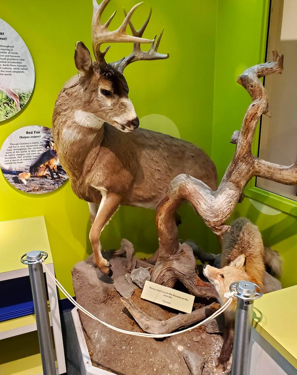 North Museum of Nature and Science, Lancaster North Museum of Nature and Science, Lancaster