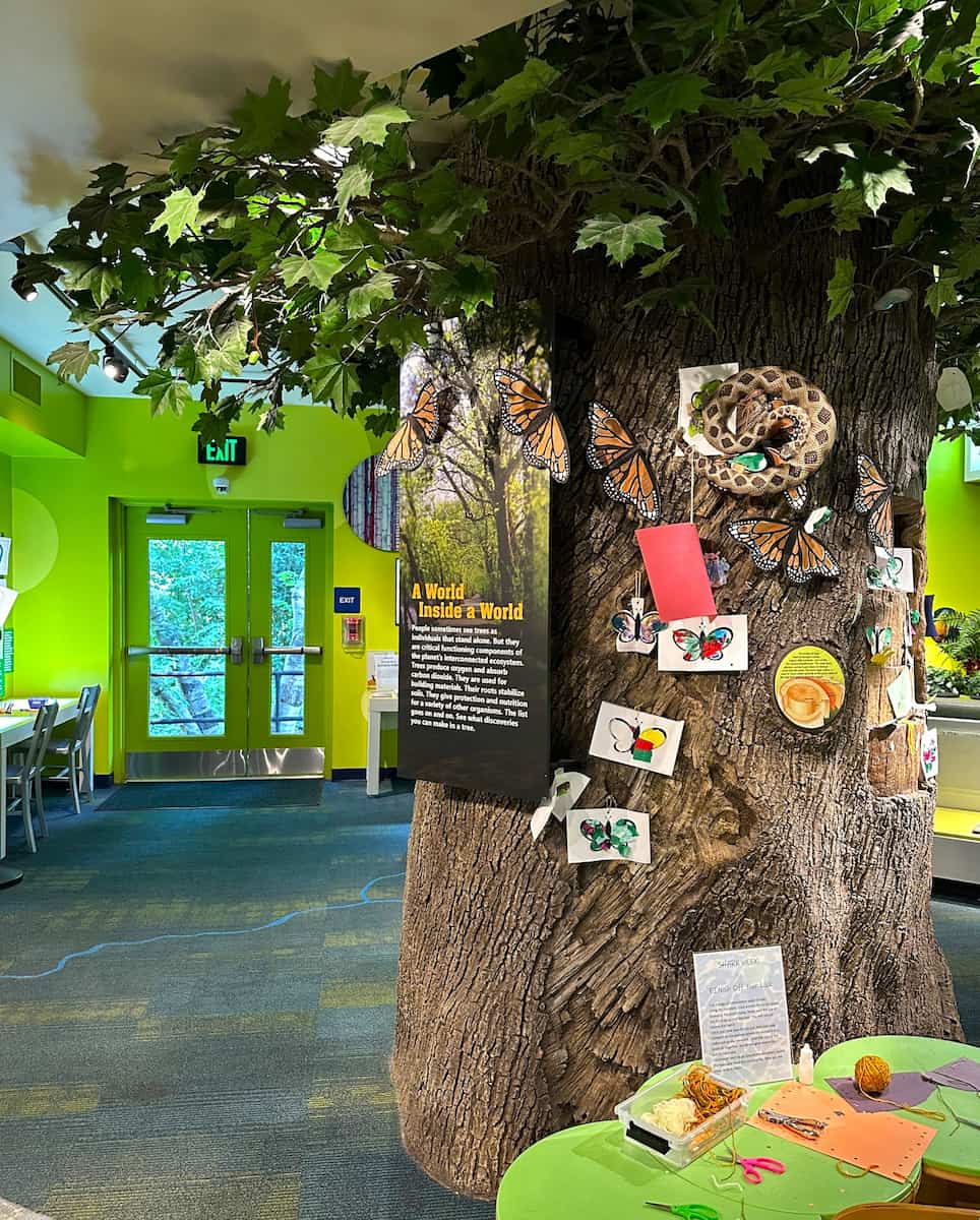 North Museum of Nature and Science, Lancaster North Museum of Nature and Science, Lancaster