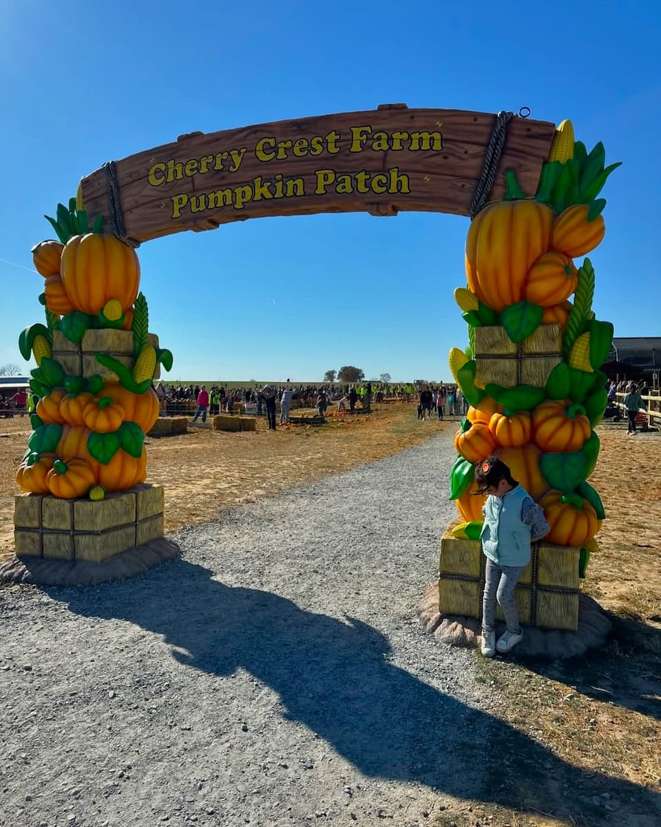Pumpkin Madness Festival, Lancaster Pumpkin Madness Festival, Lancaster