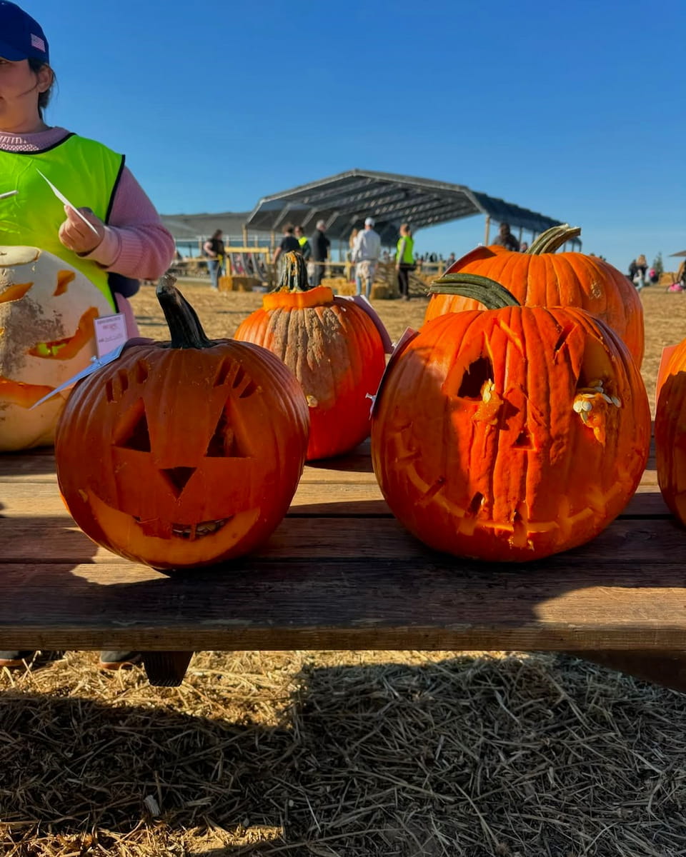 Pumpkin Madness Festival, Lancaster Pumpkin Madness Festival, Lancaster