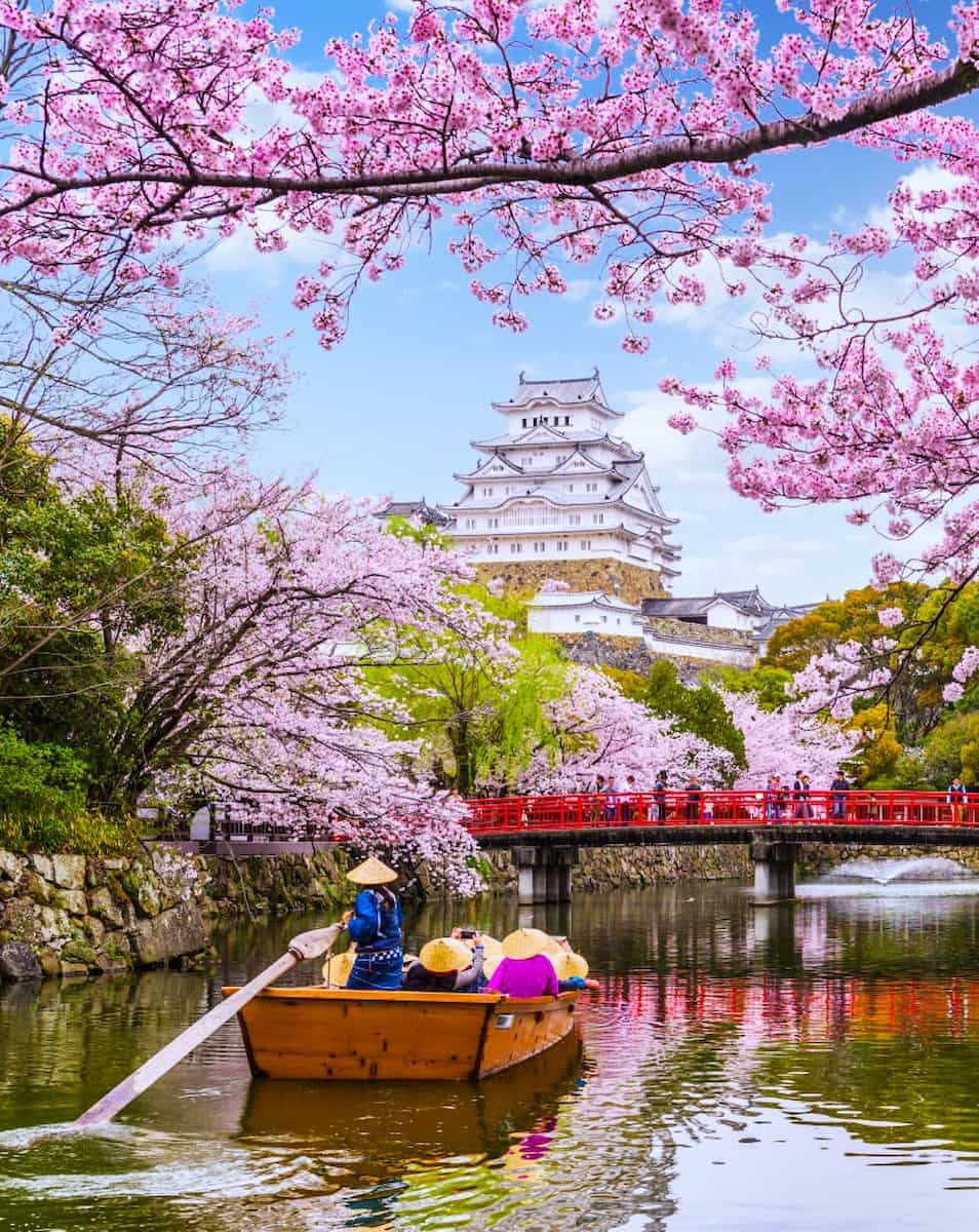 Spring  in Tokyo, Japan Spring in Tokyo, Japan