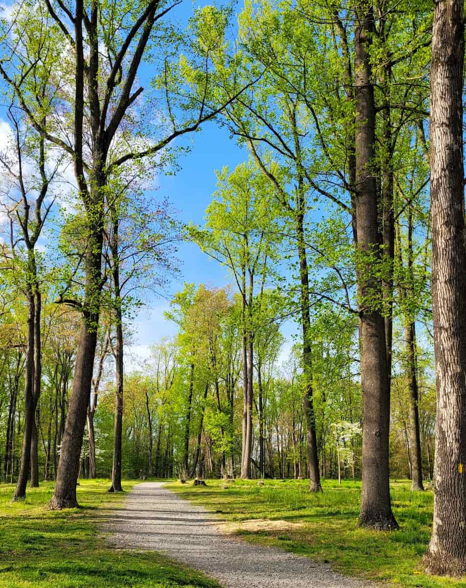 Susquehannock State Park Susquehannock State Park