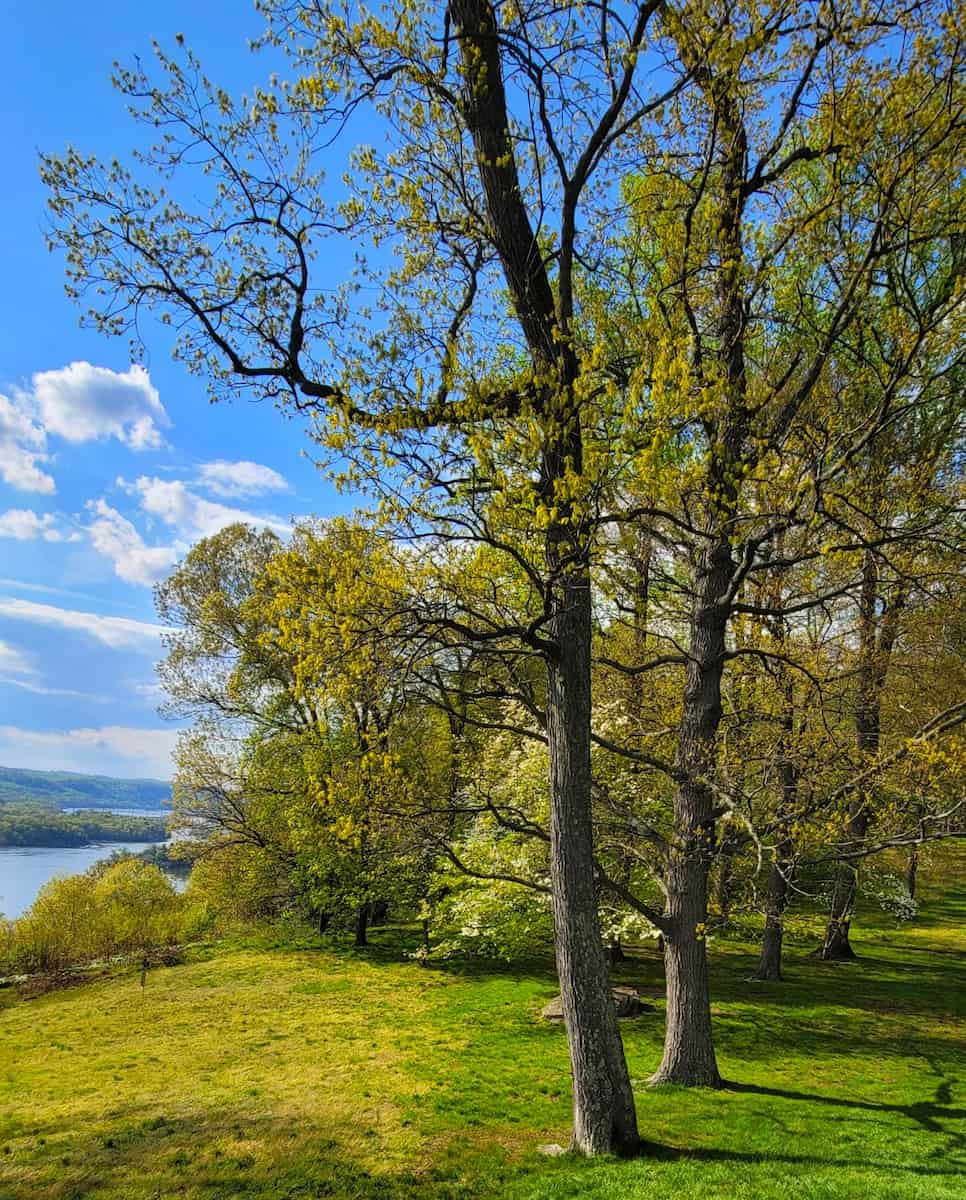 Susquehannock State Park Susquehannock State Park