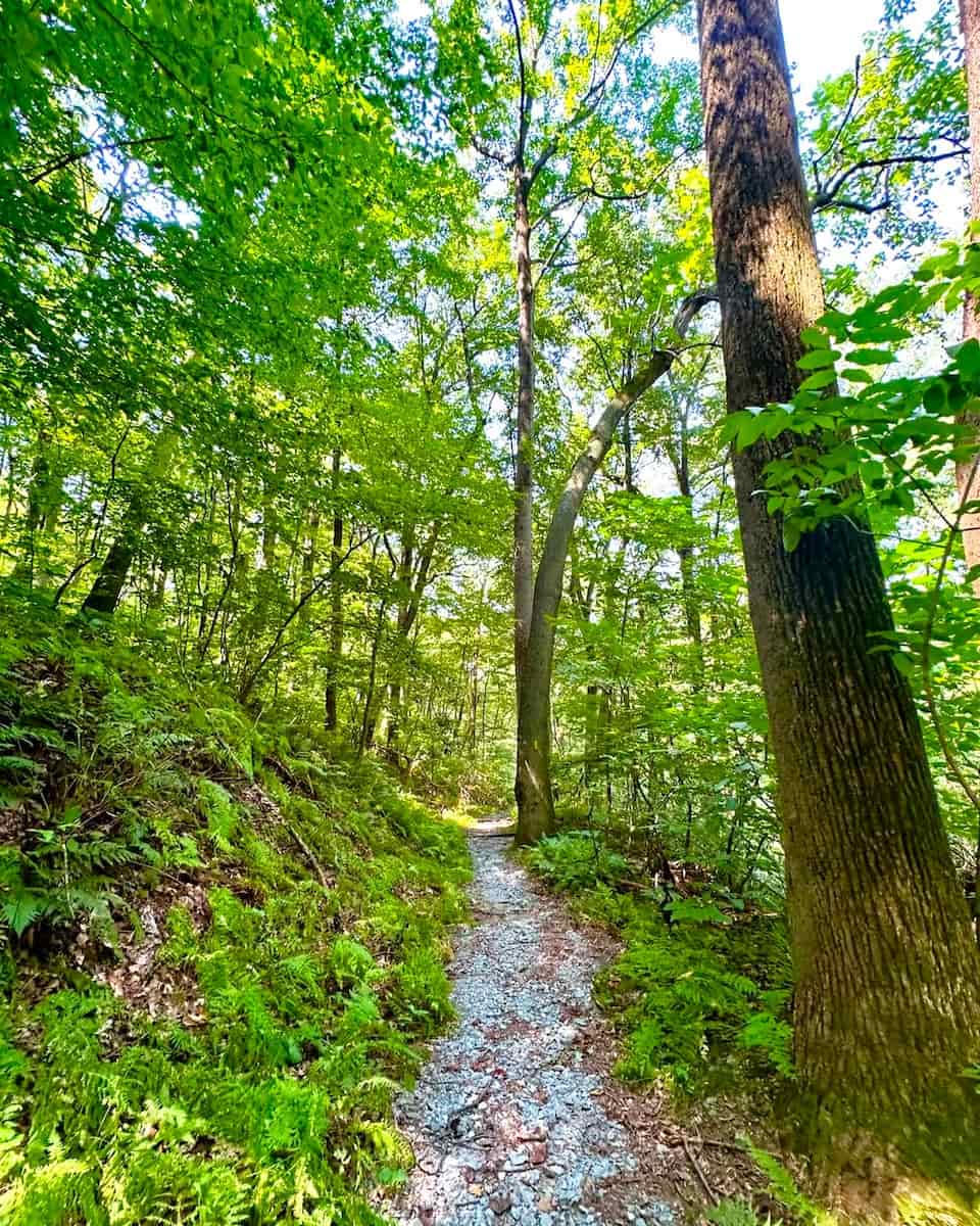 Susquehannock State Park, Lancaster Susquehannock State Park, Lancaster