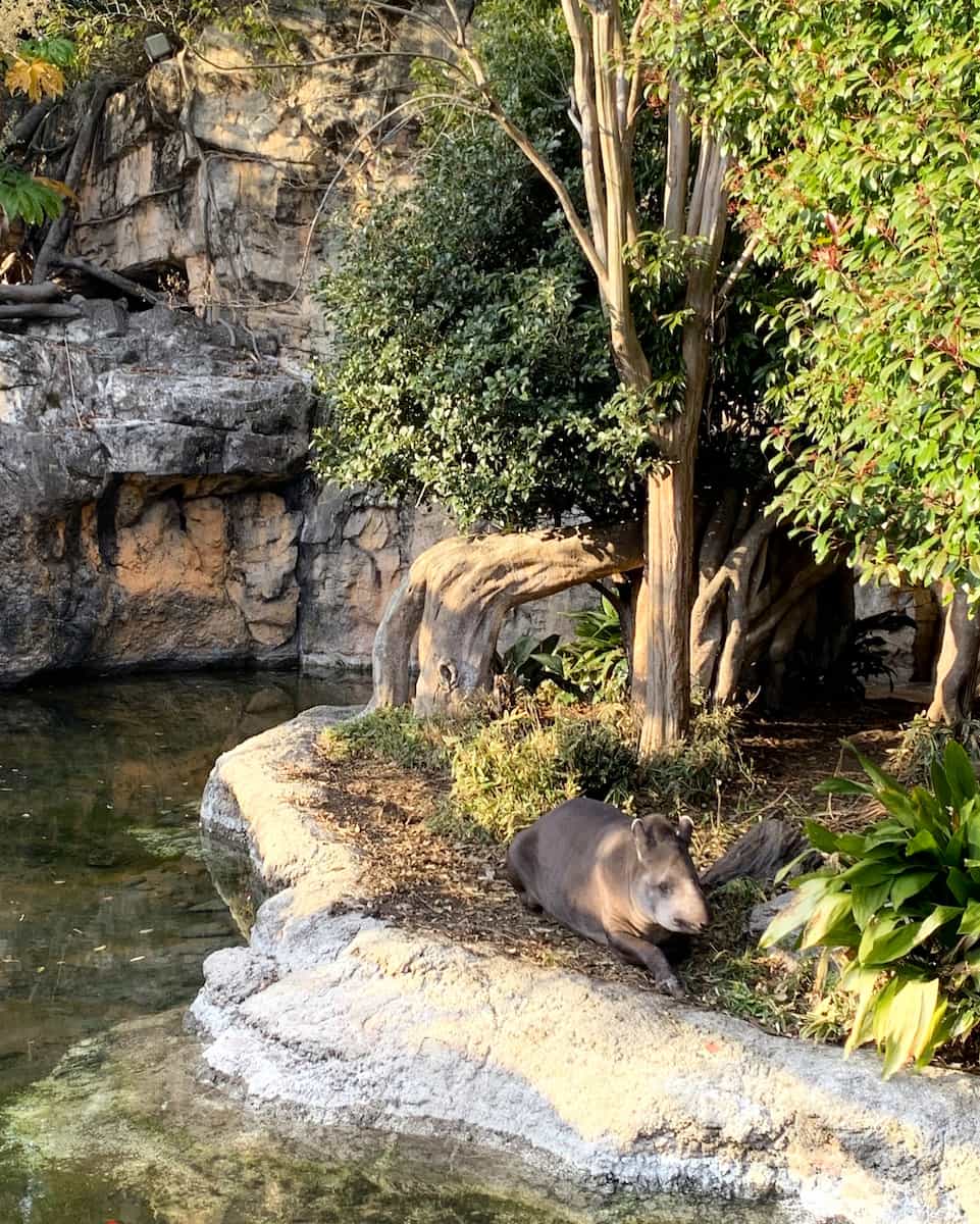 Ueno Zoo, Japan Ueno Zoo, Japan